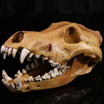 1:1 Skutočné Reálne Vlk Lebky Modely Realisticky Zvieratá Kostry Lebky Modely Horor Údaje Kreatívne Domáce Dekorácie Halloween