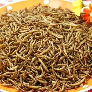 100 g Sušených Mealworms pre Akvarijné Ryby Krmivo Plaz Korytnačka Škrečkov voľne Žijúcich domáce zvieratá