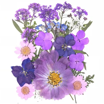 100ks,Prírodné Stlačené Calliopsis Kvety,Skutočný dotyk Kvet pre KUTILOV, svadobné oznámenia Umelecké Remeslo Záložku Darček Grad,Tváre dekor
