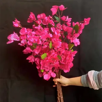 10pcs Hodváb popínavé rastliny Glabra Umelé Falošné Rose Červené popínavé rastliny spectabilis Kvet Pobočiek 35