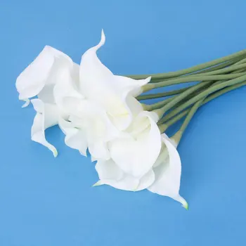12pcs Cala Simulácia Umelý Kvet Domáce Dekorácie - Biela