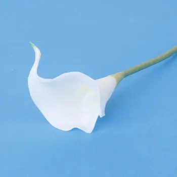 12pcs Cala Simulácia Umelý Kvet Domáce Dekorácie - Biela