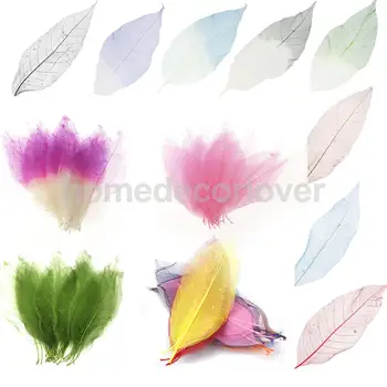150pcs Prírodné Magnolia Kostra Listy Scrapbooking Zmiešané Farby Dekor Dary