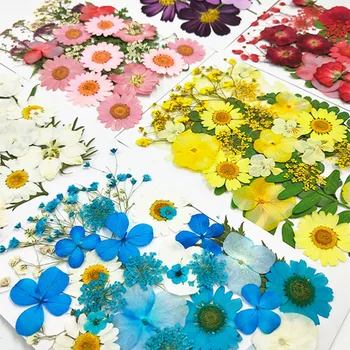 1Set/veľa Diy sušené kvety na vytláčanie materiálu zabalené záložku lepidlo sušené kvety mobilný telefón prípade plastický kvetu rastlín vzorky