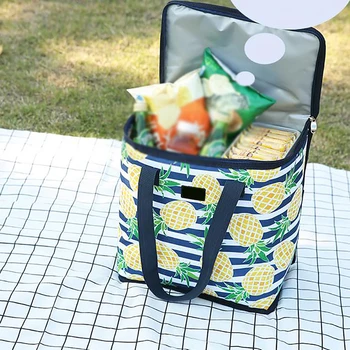 20L Vytlačí Tepelnej Piknik Chladnejšie Tašky Izolácie Package Izolované Obed Box Kabelka Ice Pack Chladnička Piknik Tepelnej Prípade