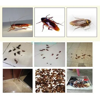 20pcs Účinné Vrah Švába Prášok Návnadu Špeciálne Insekticíd Chrobák Roach Vrah от тараканов отрава от тараканов