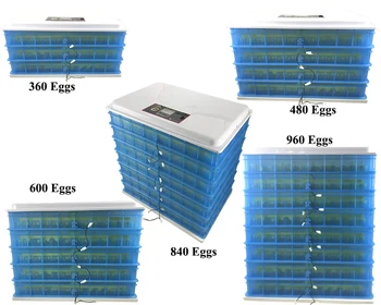 360 Vajcia Kapacita(ks) a v Novom Stave, automatické vajcia inkubátor čína H360