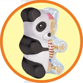4D Umelec Mocný Jaxx Pohľadu Zostaviť Anatómie Kosti, Kostra Fortune Robot Black Cat Rubber Panda Skeleton Hračka