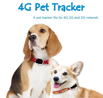 4G GPS tracker Pet tracker Pet golier tracker