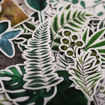 50PCS Roztomilý zelenej listovej rastlín nálepka Remesiel A Scrapbooking nálepky knihy Dekoratívne nálepky DIY kancelárske potreby