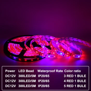 5m LED Pás Rásť Svetlo Nastaviť 12V DIY Flexibilné LED Pásky 5050 Červená Modrá 3:1 4:1 5:1 S Adaptérom pre Skleníkových Hydroponických rastlín