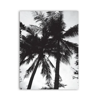 Black a White Coconut Tree Plátno na Maľovanie Domáce Dekorácie , Tropické Štýl Palma obrazov na Stenu Umenia, Tlače, Plagát
