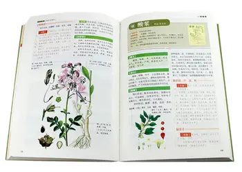 Booculchaha Čínskej medicíny slávnej knižnej ilustrácii s translatation Compendium of Materia Medica Qian Jin Fang,5 ks