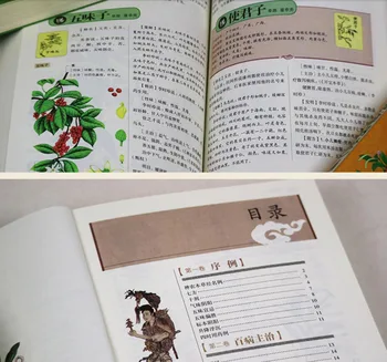 Booculchaha Čínskej medicíny slávnej knižnej ilustrácii s translatation Compendium of Materia Medica Qian Jin Fang,5 ks