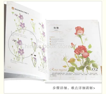 Booculchaha Čínsky sfarbenie ceruzky, knihy pre self -študent kvet maľba farebná ceruzka kreslenie, umenie, knihy , učiť sa pridať farbu