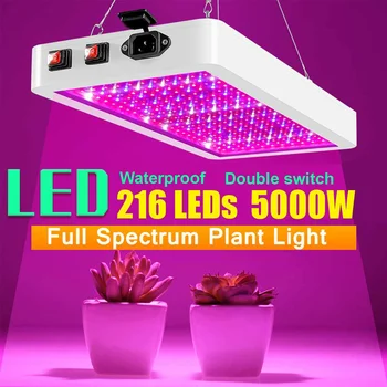 Celé Spektrum LED Rásť Svetlo 8000W Rastie Lampy pre Rastliny, Izbové Kvetiny Phytolamp pre Skleníky Rásť Stan Box