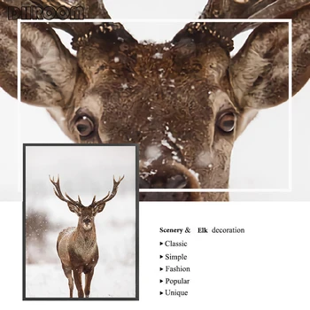 Charakter Krajiny Plátno Na Maľovanie Škandinávskych Lesné Oblasti Trávy Plagát Nordic Elk Tlačiť Fotografie Wall Art Obraz Domova