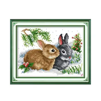 Cross stitch pár sľubný králik DMC výšivky závit ručné vyšívanie, králik dekoratívne maľby