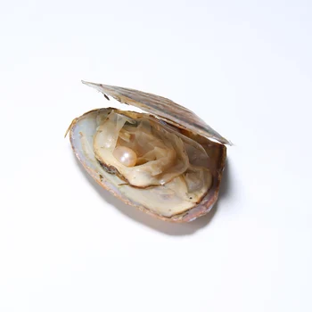 DMKB0022 6-9MM Prírodných Perál Sladkovodných Kultivovaných Ryža Korálky Vákuovo Balené Ustrice Pearl Hliva korýtko