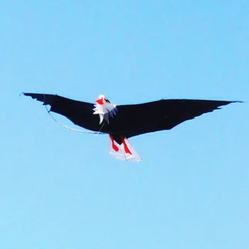 Doprava zadarmo veľké eagle draka lietať kite cievky ripstop nylon 3d drakov pre deti kite line weifang kite factory pipa voadora