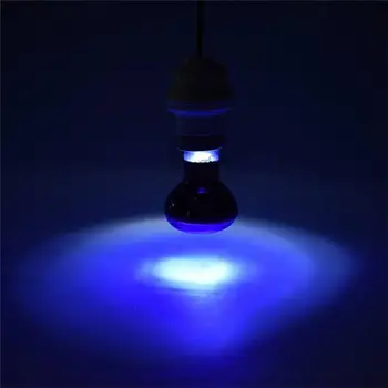 Fluorescenčné Plaz Tepla, ako sa vyhrievajú na Čítanie Žiarovky pre Terarijné Terárium UV Trubice