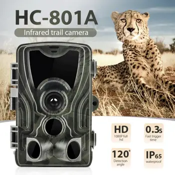 HC801A Lov Fotoaparát, 16 MP 1080P IP65 Chodník Kamerou na Nočné Videnie Lesa Nepremokavé Voľne žijúcich živočíchov Fotoaparát Foto Pasce Fotoaparát Chasse #SD