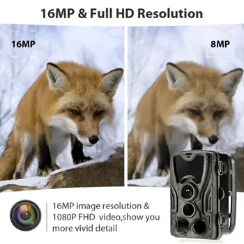 HC801A Lov Fotoaparát, 16 MP 1080P IP65 Chodník Kamerou na Nočné Videnie Lesa Nepremokavé Voľne žijúcich živočíchov Fotoaparát Foto Pasce Fotoaparát Chasse #SD