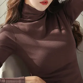 Jeseň Dlhý Rukáv Turtleneck Sveter Ženy 2020 Jar Nové Príležitostné Kórejský Módne Slim Teplé Plyšové Pulóver Topy Žena Plus Veľkosť