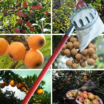 Kovové Ovocie Picker Orchard Záhradníctvo Apple Broskyňa Vysoký Strom Trhanie Nástroje Ovocie Catcher Košom Záhradné Náradie