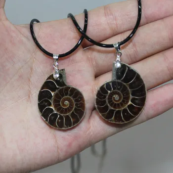 Krásne Prírodné Ammonite Fosílneho Kameňa Seashell Slimák Prívesky Tichom Conch Reliquiae Zvierat Náhrdelníky Vyhlásenie Mužov Šperky