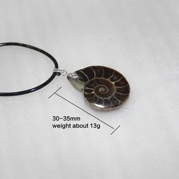 Krásne Prírodné Ammonite Fosílneho Kameňa Seashell Slimák Prívesky Tichom Conch Reliquiae Zvierat Náhrdelníky Vyhlásenie Mužov Šperky