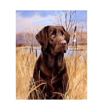 Labrador psa Zvierat DIY Digitálne Maľovanie Podľa Čísel Moderné Nástenné Umelecké Plátno na Maľovanie Darček pre deti Domova 40x50cm