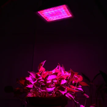 LED Rásť Svetlo 12W 40 W 60 W 100 W celé Spektrum Záhradníctvo Povodňových Rastlín Lampa pre Vnútorné Záhrady Kvitnutia Hydroponics Systém