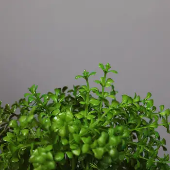 Mini Umelé Rastliny v Plastových Banku, Malé Svieže Zelené Lístie Faux Črepníkové Rastliny pre Kancelárii a Domácnosti Výzdobu Stola