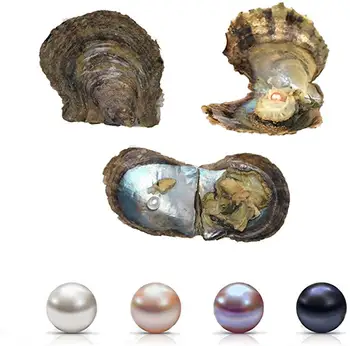 Morské Perly Ustríc, 4 KS Lásky Prial, Morské Akoya Perly Oyster 6-7mm Perly vo Vnútri pre Šperky Výrobu alebo Narodeninám