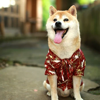 Móda Akita Kabát Roztomilé Zvieratko Vesta Oblečenie Pug Čivava, Oblečenie pre Malé a Stredné Psy Buldog Pet Oblečenie Pet Oblečenie Ropa Perro
