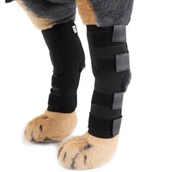 Nové Pet Kolien Psa Podporu Pripraviť na Zadné Nohy Hock Spoločné Zábal Priedušná Obnoviť Ujmy Nohy Psa Chránič Podporu