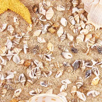O 1300-1500 Drobné Sea Shell Ocean Beach Špirála Mušlí Plavidlá Charms 7-12 mm pre Sviečka Robiť,Domáce Dekorácie,Pláž Tému