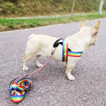 Pet Rainbow Postroj Vesta s Rukoväť Nastaviteľné Malý Pes Packa Tlač pre spoločenské Šteňa 1 Sada Nylon Postroj, Postroj a Vodítko nastaviť