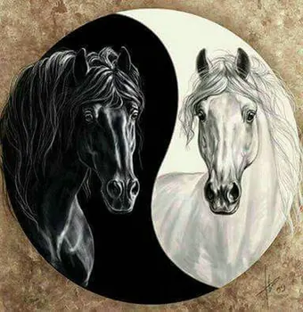 Plný štvorcové a okrúhle diy diamond maľovanie čierny kôň biely kôň Tai Chi ikonu 3D diamond výšivky mozaiky diamond cross stitch