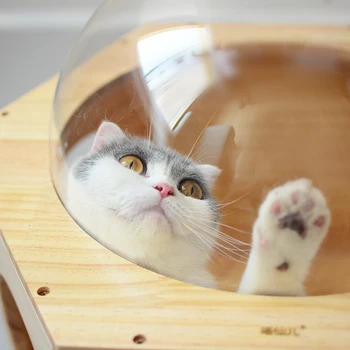 Priestor kapsule masívneho dreva podstielku stenu transparentné okno podstielku mačku domu zmes mačka preliezkami mačka dodávky