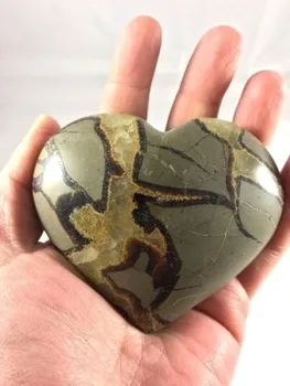 Prírodné korytnačka kameň ideálny na rezanie srdce typ
