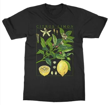 Queen-XSX Citrón Rastlín T-Shirt Krátkym Rukávom O-Krku Botanická Záhrada Tlač Umenie Botanika Bloom Ovocie Kvet Bavlny, Tričko