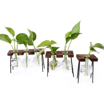 Rastlina Hydroponics Sklenená Fľaša Zelená Rastlina Kontajner Obývacia Izba Inovatívne Čerstvé Ozdoby Malé Loptu Typ