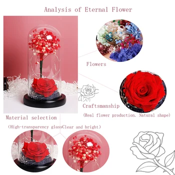 Romantický Nesmrteľný Kvet Micro Krajiny Navždy Červené Ruže Kvet V Skle Slávnostné Konzervované Nesmrteľný Čerstvé Jedinečný Dar