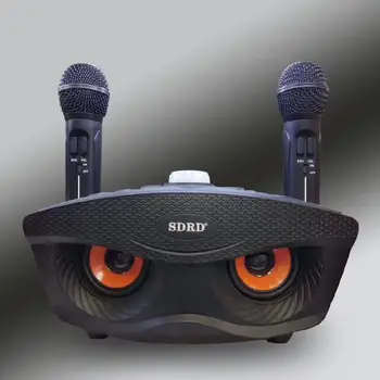 SD306 Duálny Bezdrôtový Mikrofón Bluetooth Reproduktor Mobilné Bezdrôtové Karaoke Reproduktor Bezdrôtové Stereo Reproduktor Nastaviť