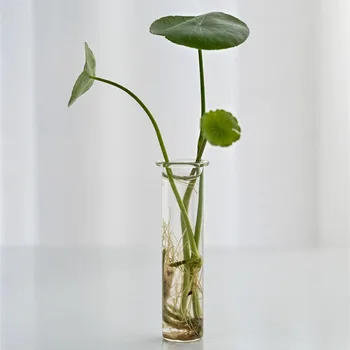 Sklo Skúmavky Keramické Hydroponické Váza Jednoduché Remeslá Domáce Dekorácie Príslušenstvo Ploche Ornament Kvet Usporiadanie Kvetináč