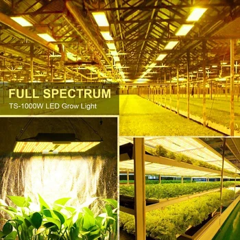 Stmievateľné SF-2000 celé Spektrum LM301B LM301H 3500k 5000k LED Čip 200w 240w Rastlín Panel Rásť Svetlo