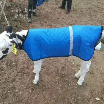Teľa Teplé Oblečenie pre Vedenie Krava v Teple v Mliečne Farmy, Oblečenie pre Teľa Použitie
