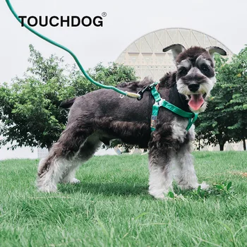 Touchdog Psom na vodítku Mäkký Golier, Nastaviteľné Popruhy Psa Chodiť Von Postroj Vesta Golier Remienok na Ruku pre Malé a Stredne Veľké Psy